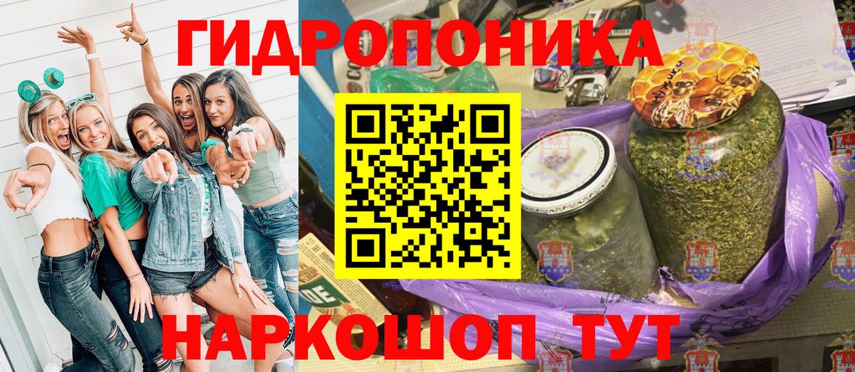 Бошки Шишки план Красногорск